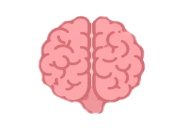 cervello